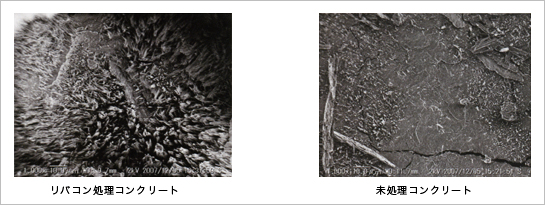 走査型電子電子顕微鏡（SSM）によるセメント結晶写真